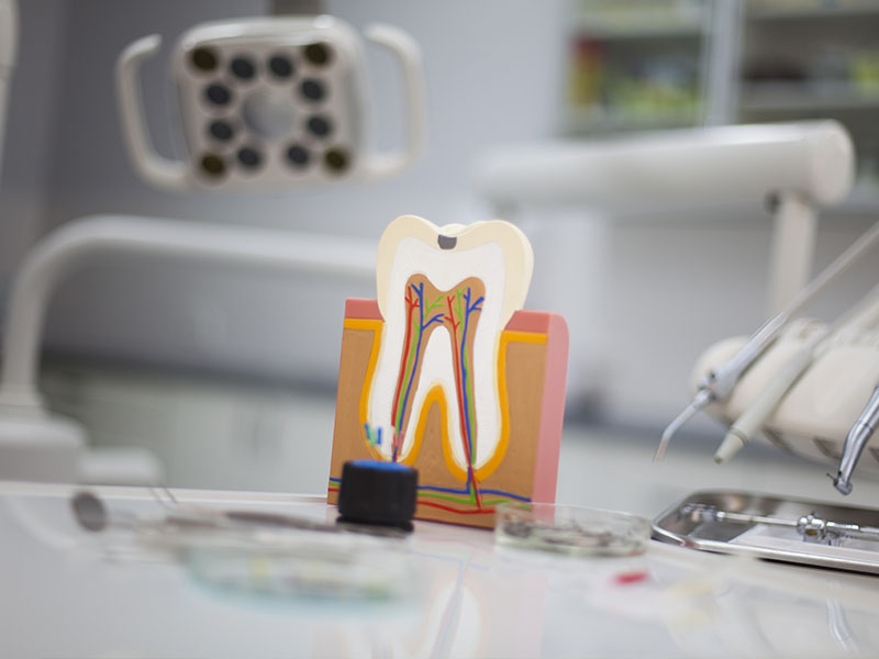 AV Dental | Dental Cleanings, Digital Radiography and Pediatric Dentistry